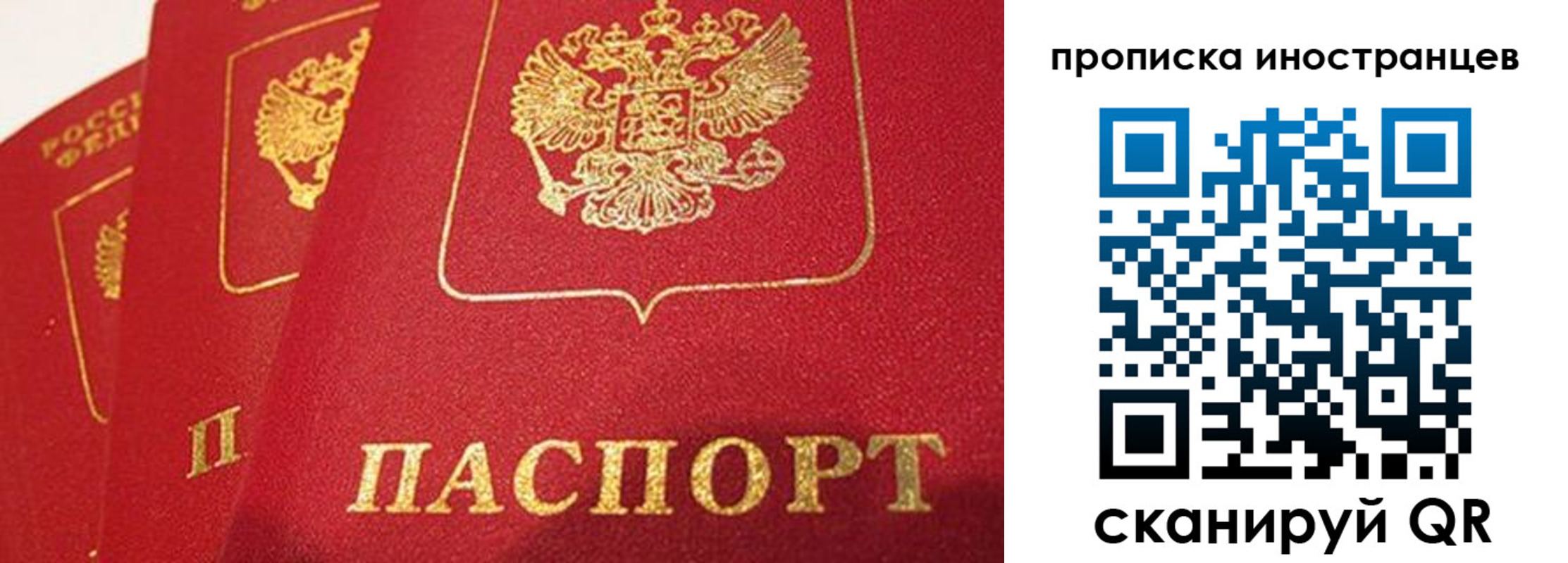 прописка поиск в Гороховце